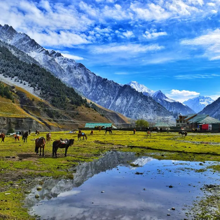 Kullu Manali