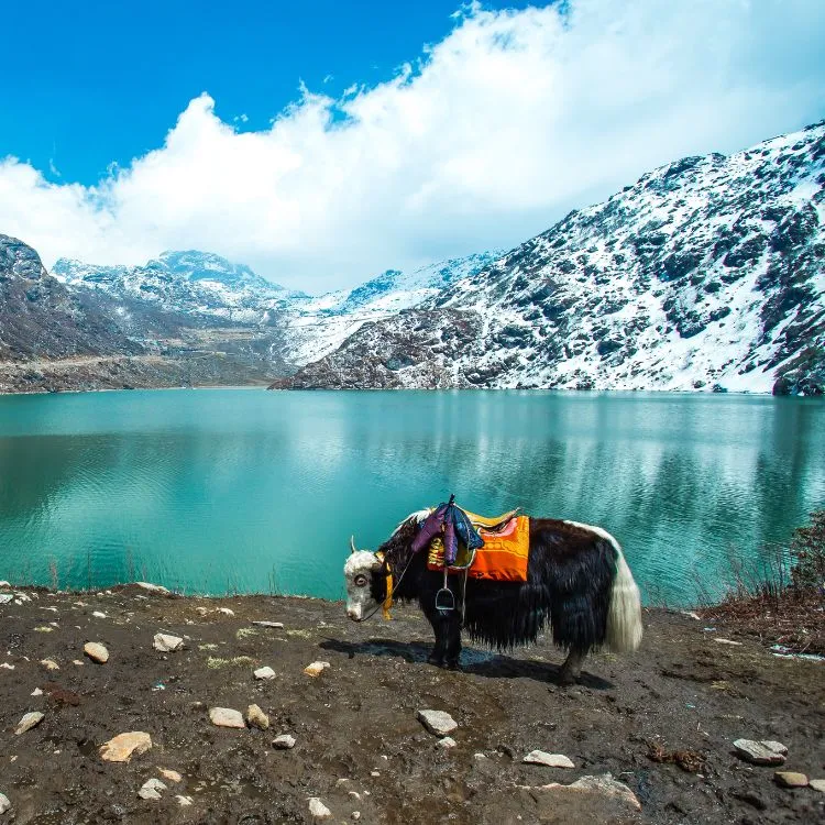 Kullu Manali